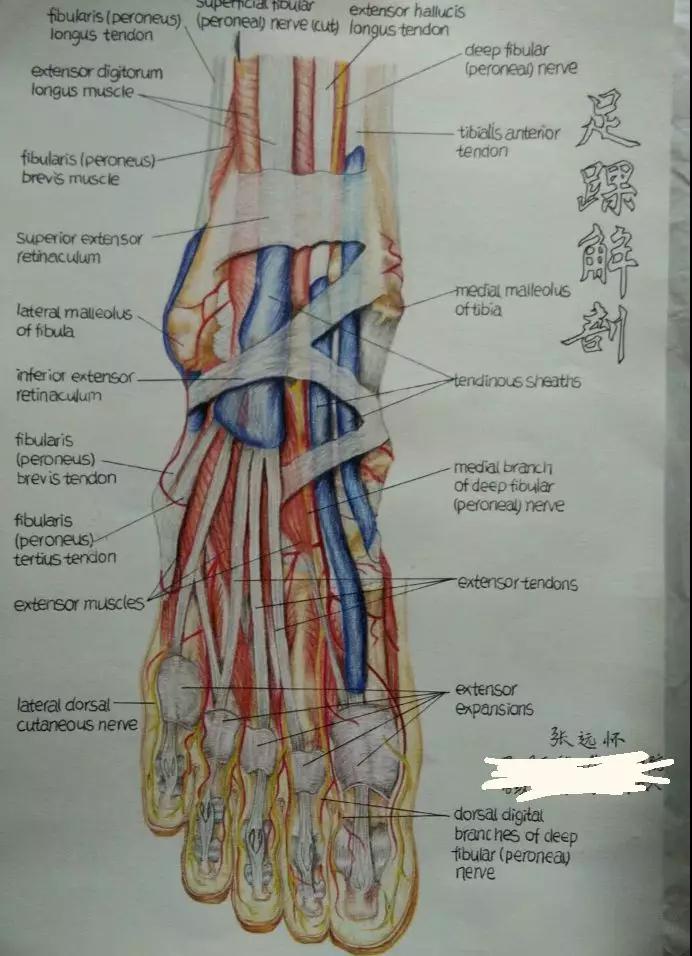 gkcx_1561801412_9857.jpg